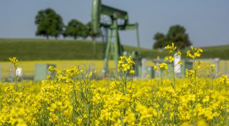 Matte Treibstoffpreise bremsen Märzinflation
